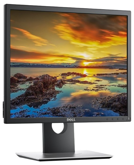 Монитор DELL P1917S