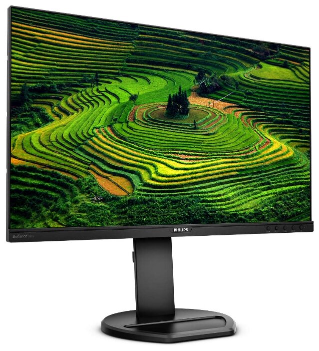 Монитор  PHILIPS 241B8QJEB (241B8QJEB/00), купить в Краснодаре