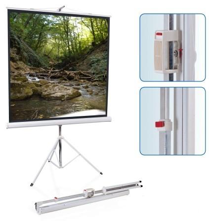 Экран на штативе ScreenMedia SAM-4304 Apollo 244x183 см Matte White 4:3