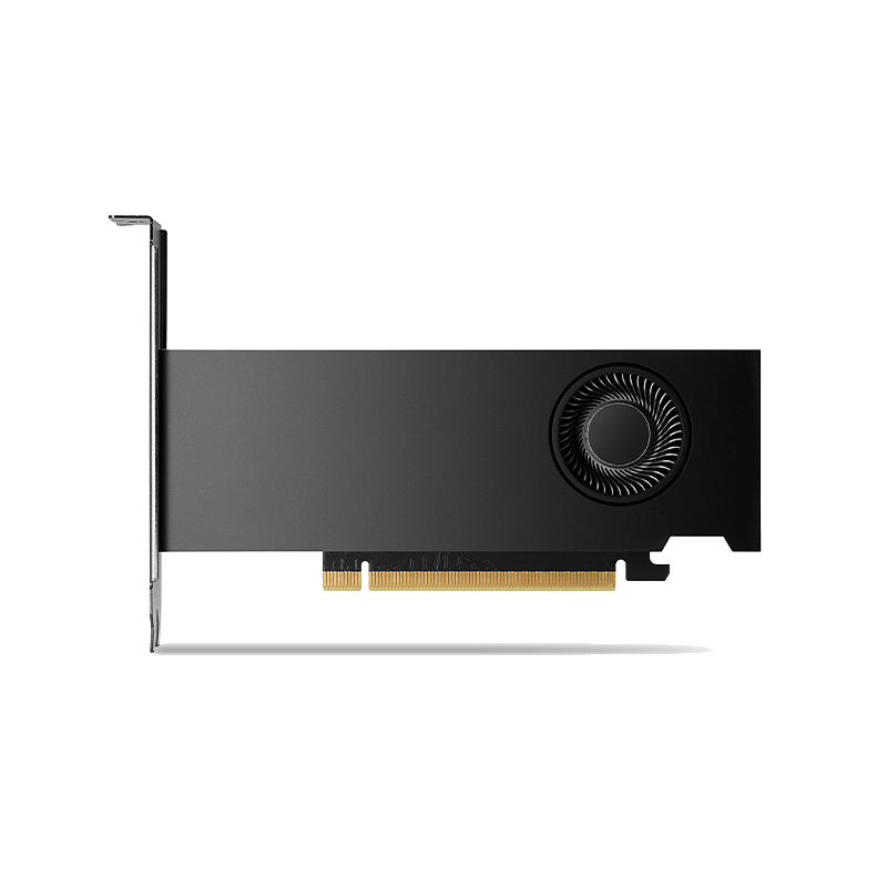 Видеокарта NVIDIA RTX 2000 Ada PCIe 16GB GDDR6, BLK