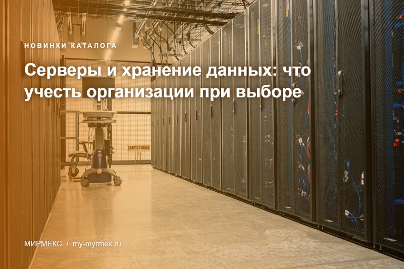 Серверы и хранение данных: что учесть организации при выборе