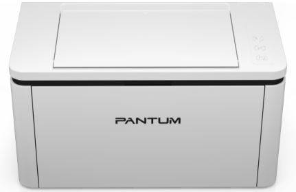 Принтер лазерный Pantum BP2300NW (A4, 22 стр, 1200x1200 dpi, 2568Mb, USB2.0, LAN, WiFi, Bluetooth)