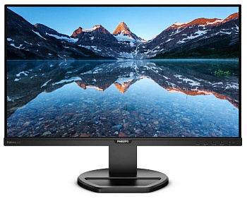 Монитор PHILIPS 252B9