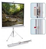 Экран на штативе ScreenMedia SAM-4304 Apollo 244x183 см Matte White 4:3