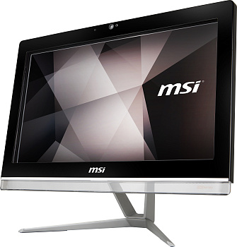 Моноблок MSI Pro 20EX 8GL-044RU