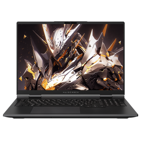 Ноутбук Maibenben X16F-R98957T 16" (X16F-R98957T0GGRLG4E10), купить в Краснодаре